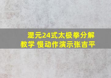 混元24式太极拳分解教学 慢动作演示张吉平